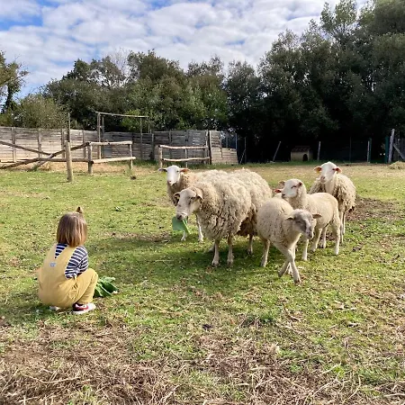 Séjour à la campagne Mas la Ginesta - Turisme rural *