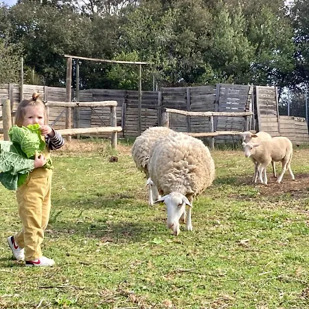 Mas la Ginesta - Turisme rural Séjour à la campagne *