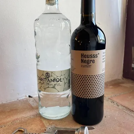 Mas La Ginesta - Ideal Per Families Amb Infants Country house