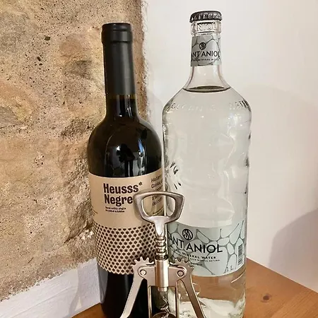 Mas La Ginesta - Ideal Per Families Amb Infants Country house Borrassa