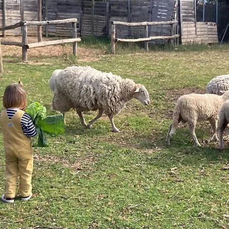 Mas La Ginesta - Ideal Per Families Amb Infants Country house Borrassa