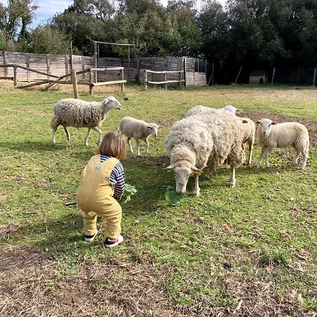 Mas La Ginesta - Ideal Per Families Amb Infants * Borrassa